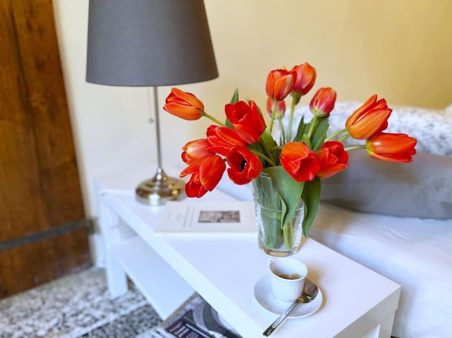 Il Canto De' Cenci Apartment Arezzo Extérieur photo