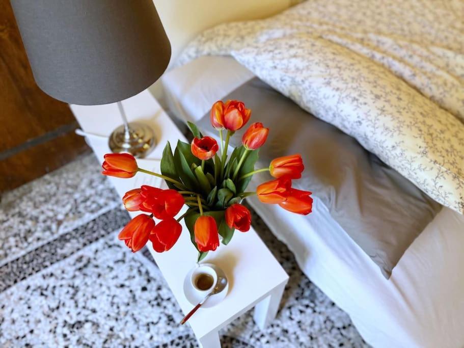 Il Canto De' Cenci Apartment Arezzo Extérieur photo