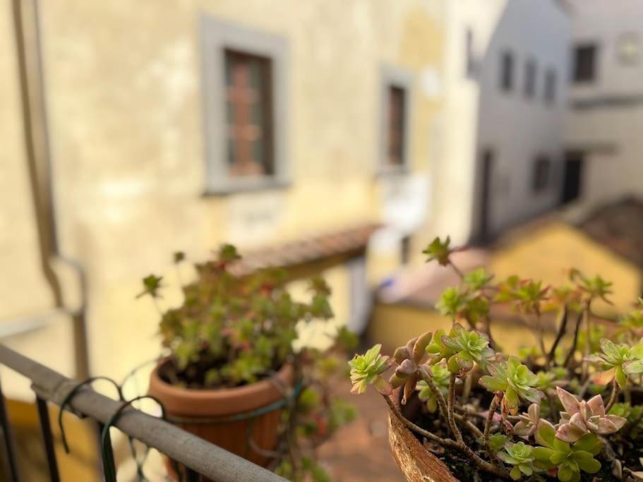 Il Canto De' Cenci Apartment Arezzo Extérieur photo